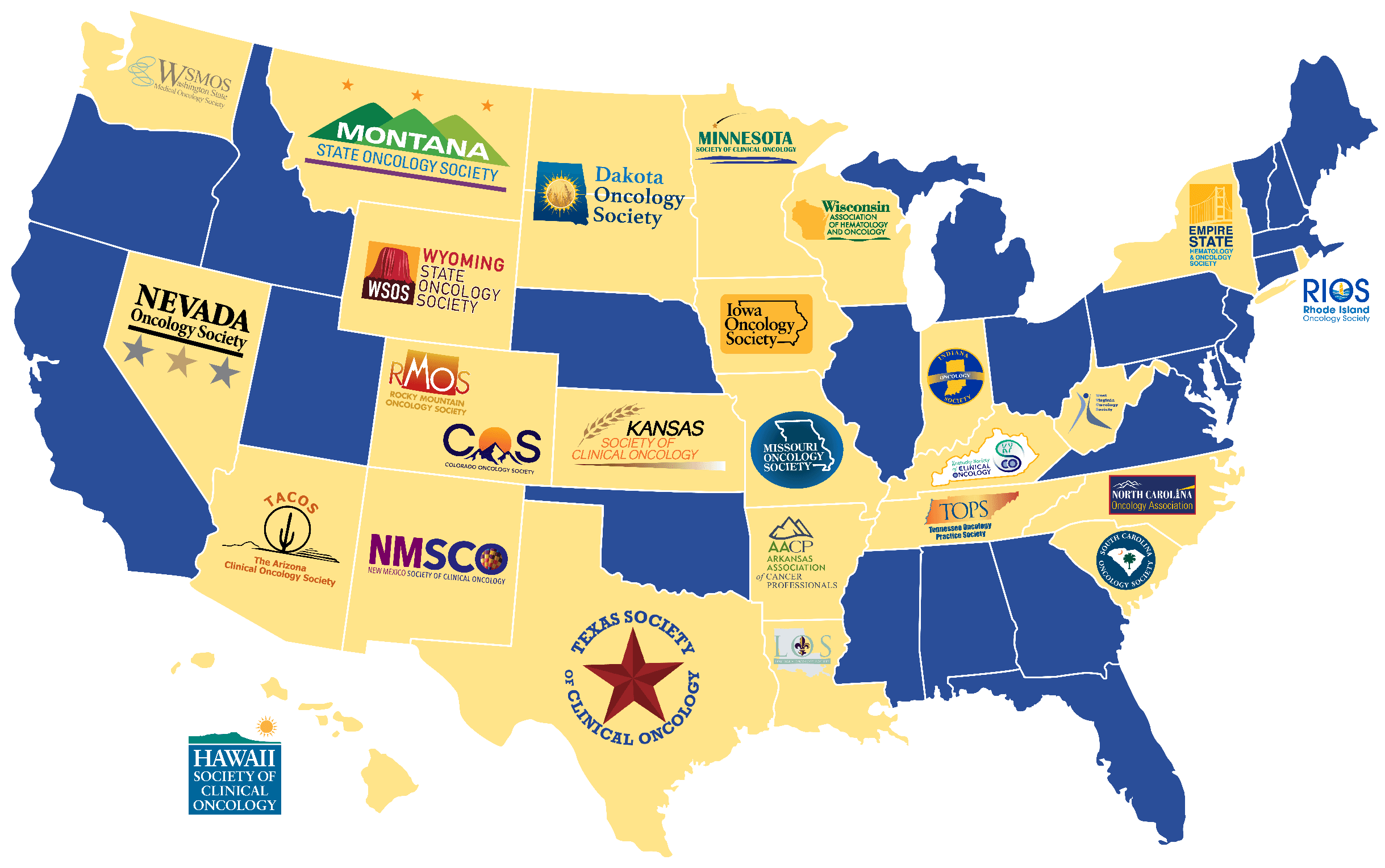 Imapct Report 2025 Role graph - Breakdown of ACCC Members by Role